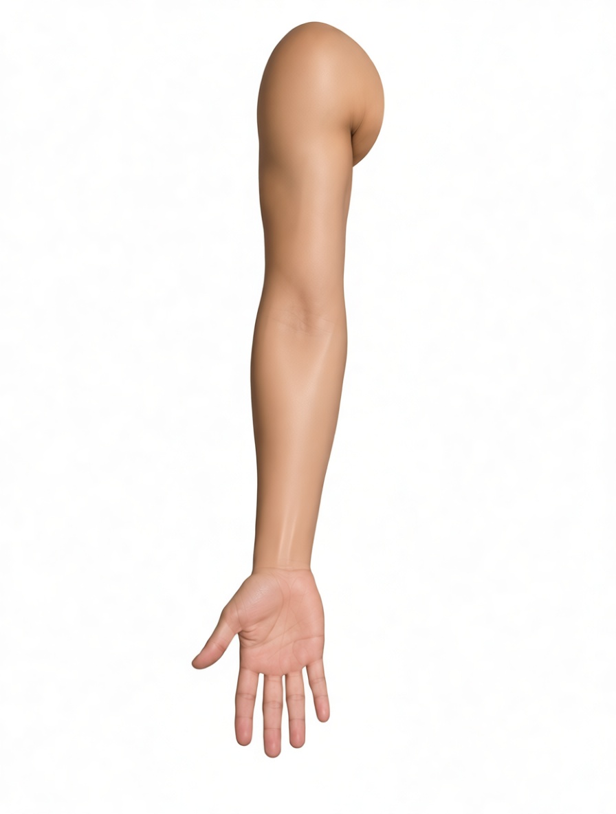 Human Arm Model free 3D printable STL