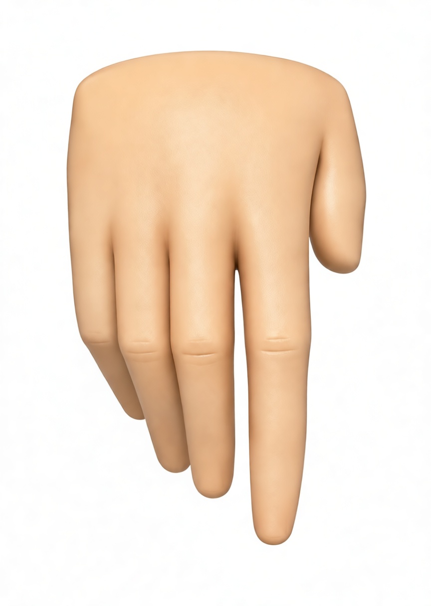 Human Hand Model free 3D printable STL