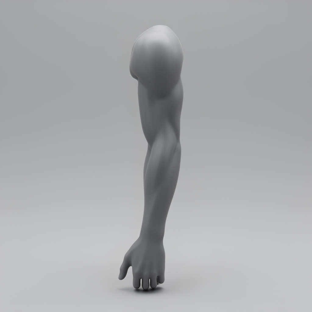 Male Graceful Arm Model free 3D printable STL