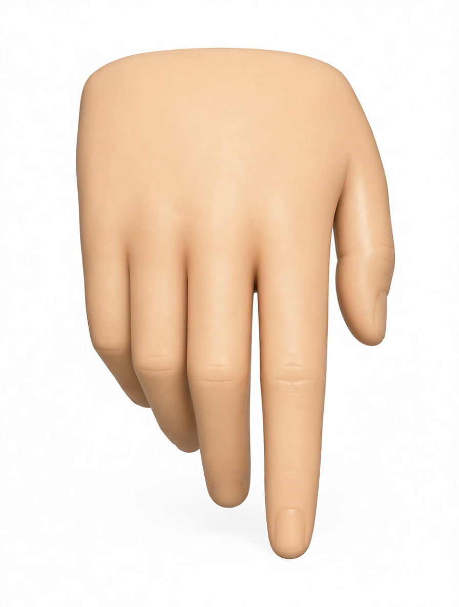 Human Hand Model free 3D printable STL