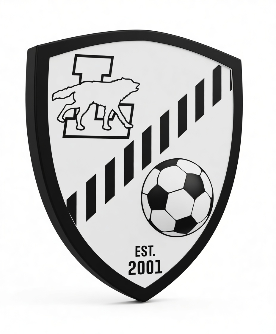 Soccer Club Emblem Shield free 3D printable STL