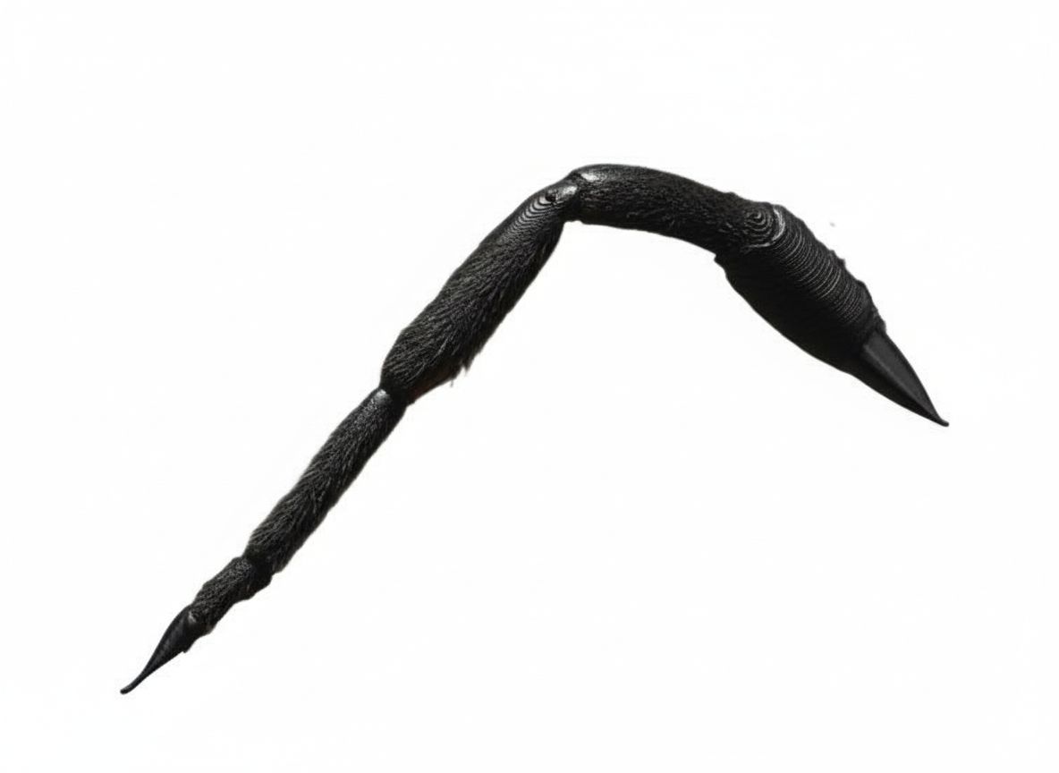 Black Dragon Wing free 3D printable STL