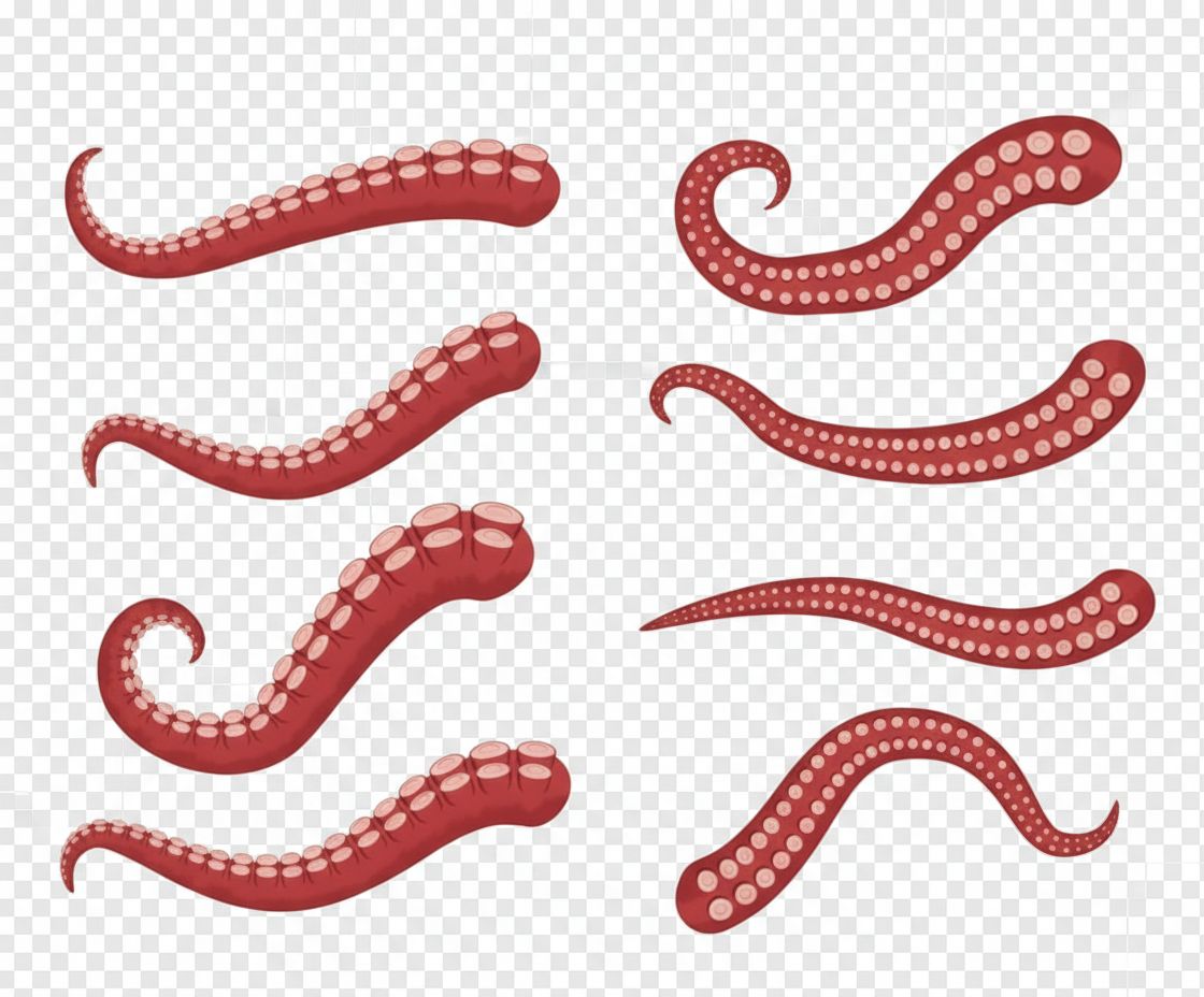 Octopus Tentacle Set free 3D printable STL