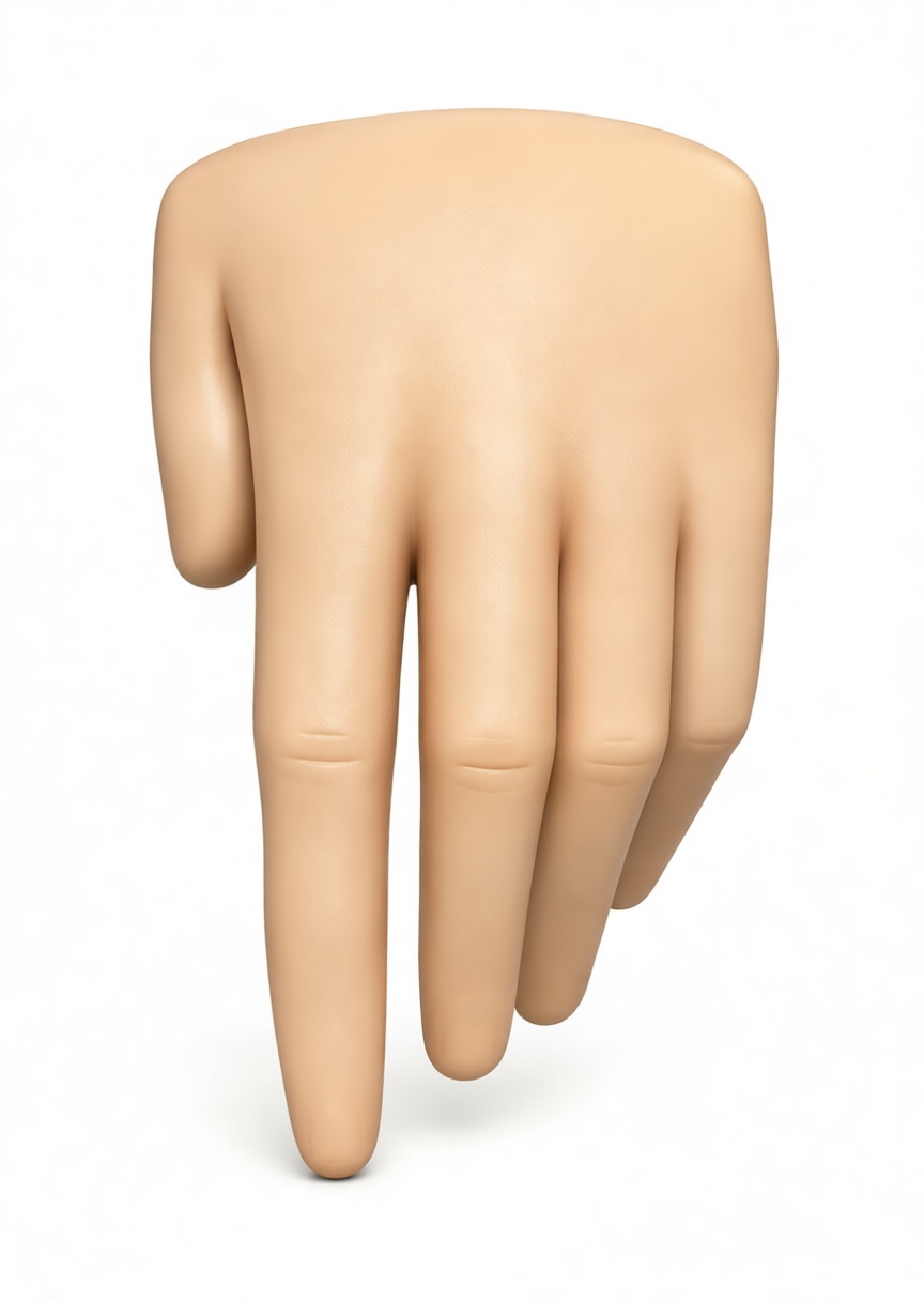 Human Hand Model free 3D printable STL
