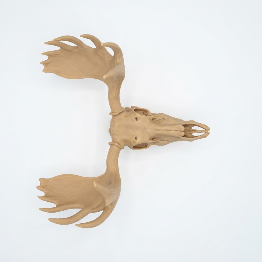 Moose Skull Sculpture free 3D printable STL