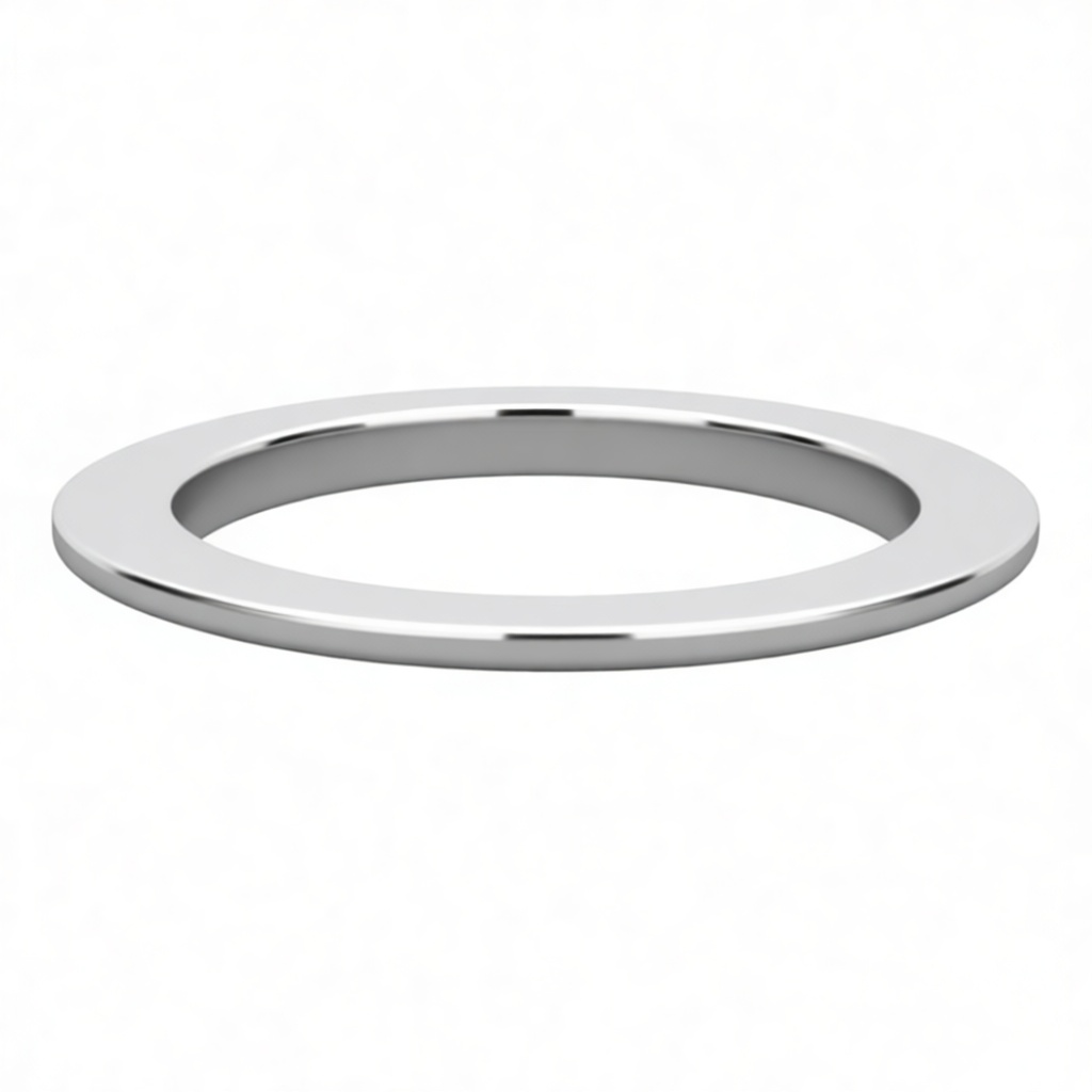 Metal Washer Model free 3D printable STL