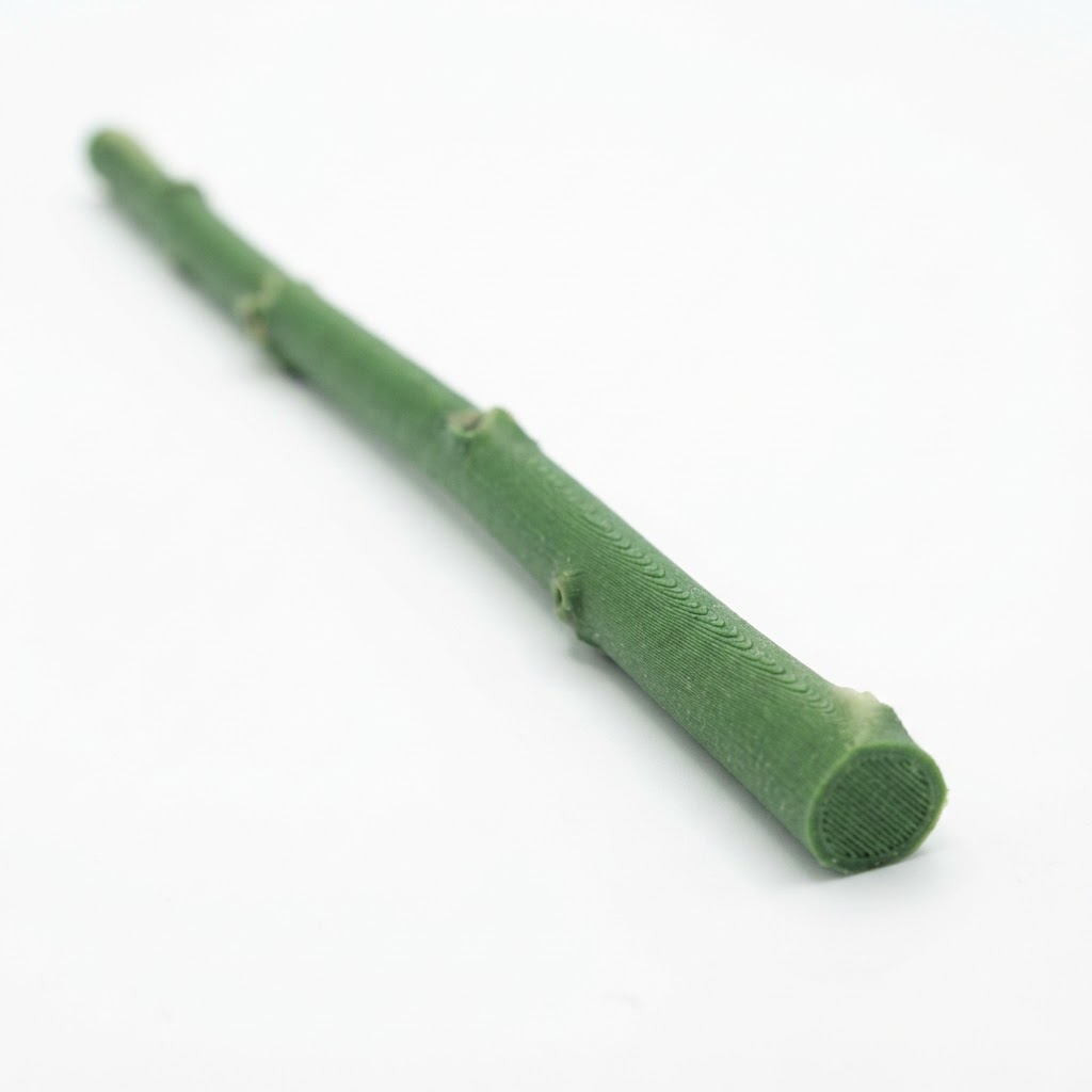 Bamboo Stem Model free 3D printable STL