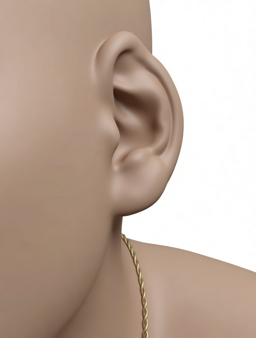 Human Ear 3D Model free 3D printable STL