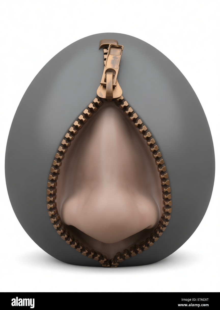 Human Nose Sculpture free 3D printable STL