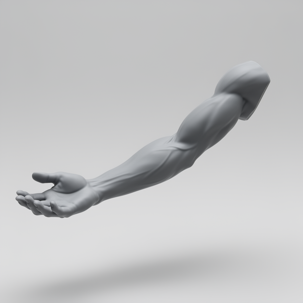 Lean Human Arm Figurine free 3D printable STL