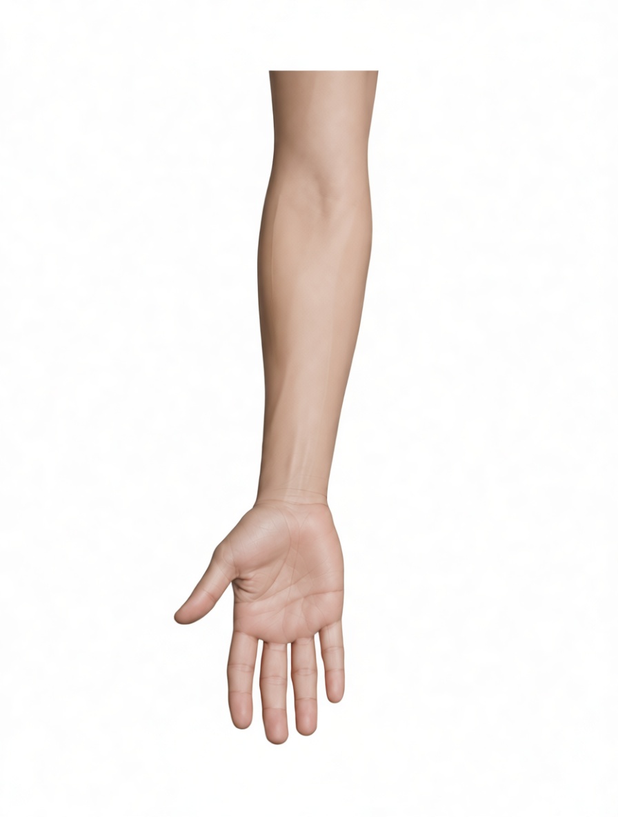 Human Arm Model free 3D printable STL