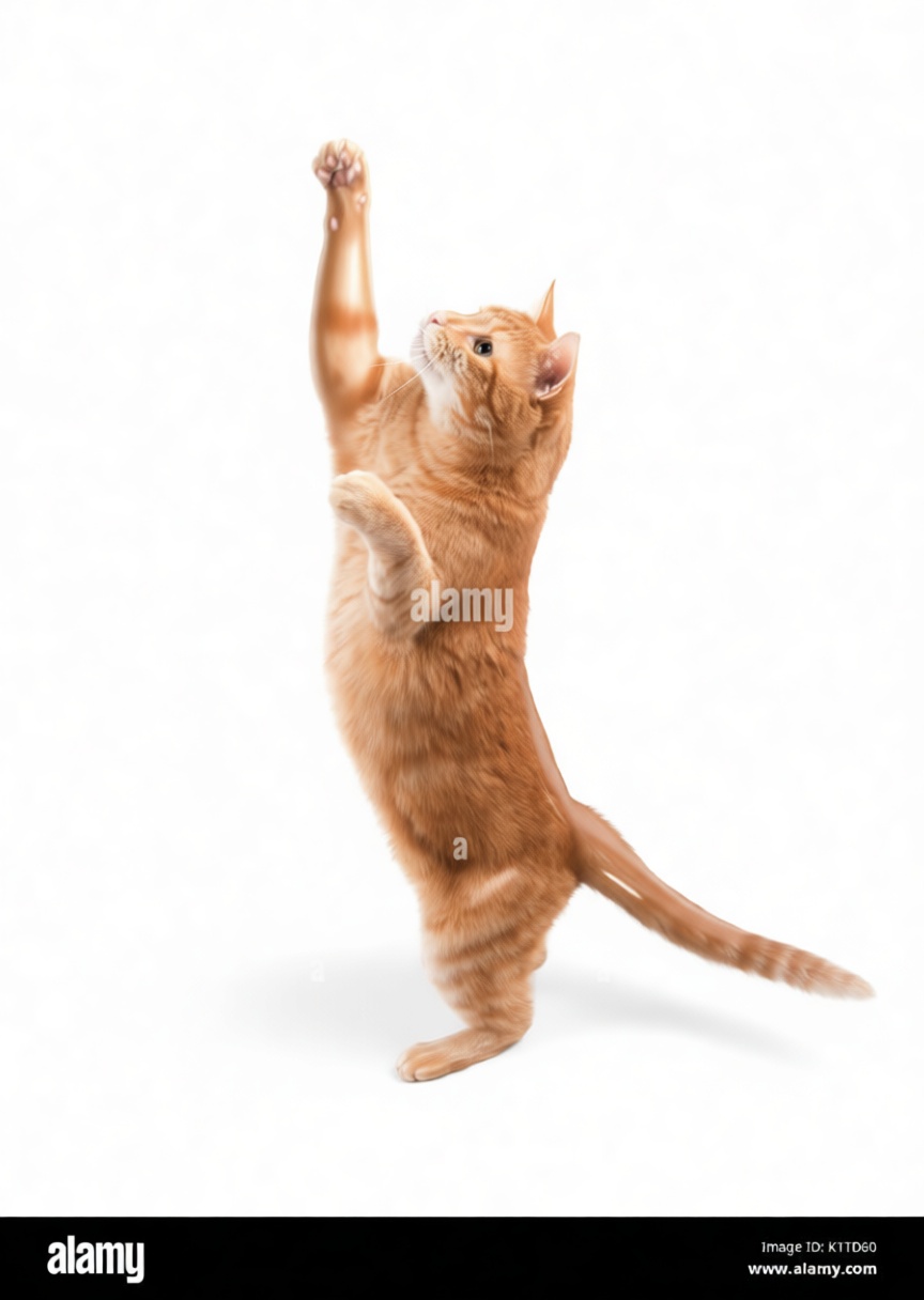 Orange Tabby Cat Figurine free 3D printable STL
