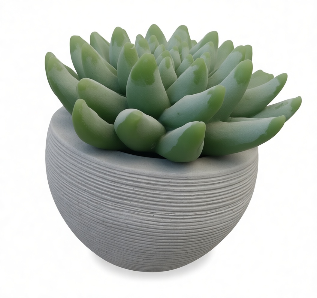 Succulent Plant Figurine free 3D printable STL