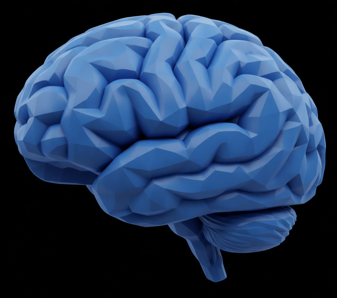 Human Brain Sculpture free 3D printable STL
