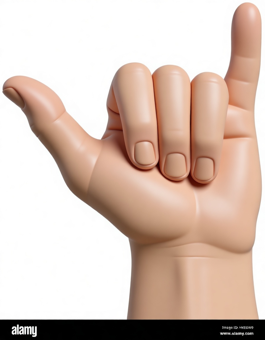 Shaka Sign Hand Model free 3D printable STL