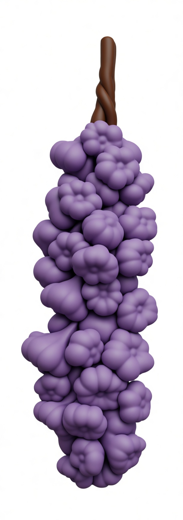 Grape Bunch Model free 3D printable STL