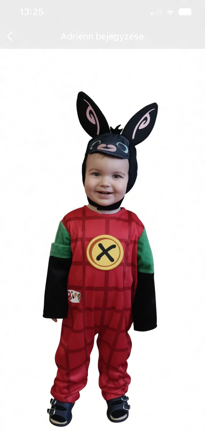 Bing Bunny Costume free 3D printable STL