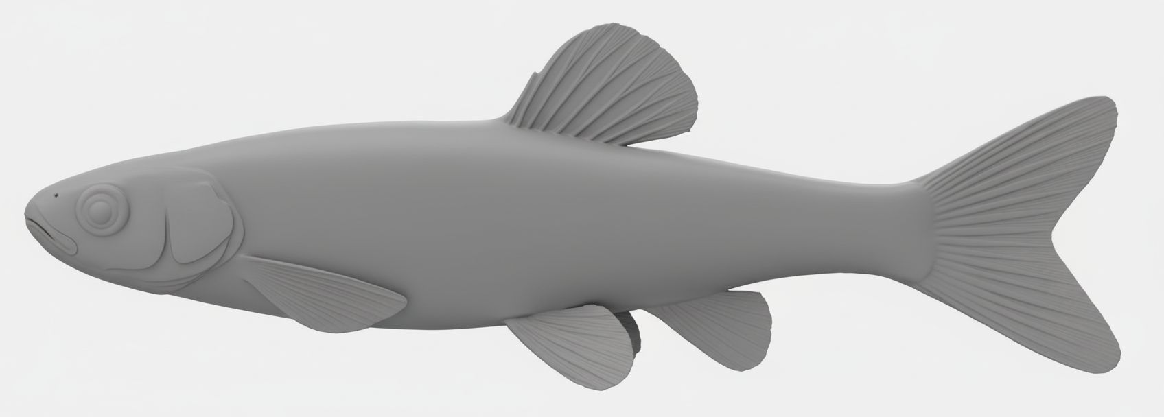 Common Carp Figurine free 3D printable STL