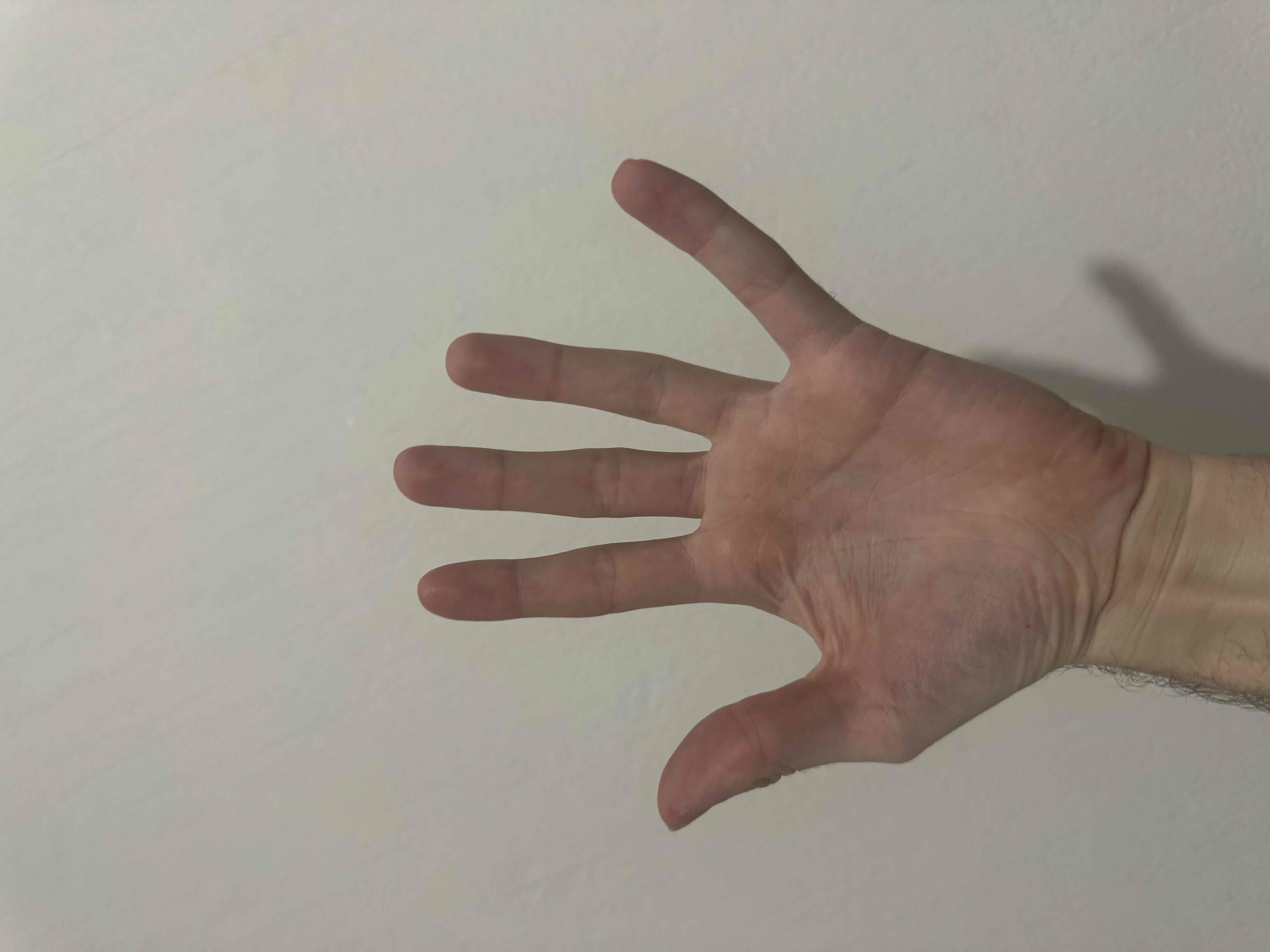 Open Hand free 3D printable STL