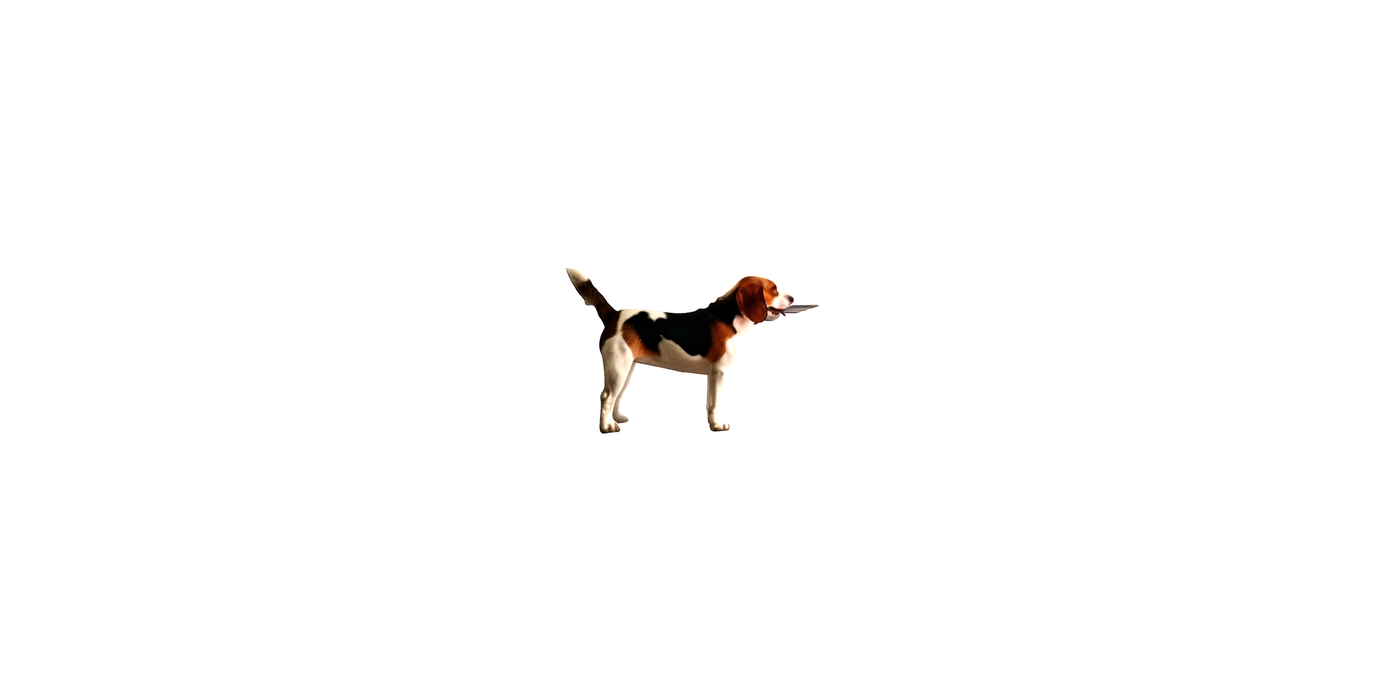 Beagle Dog free 3D printable STL
