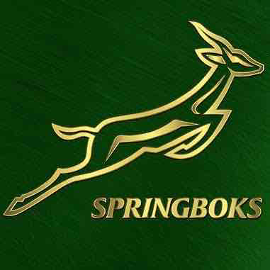 Springboks Logo free 3D printable STL