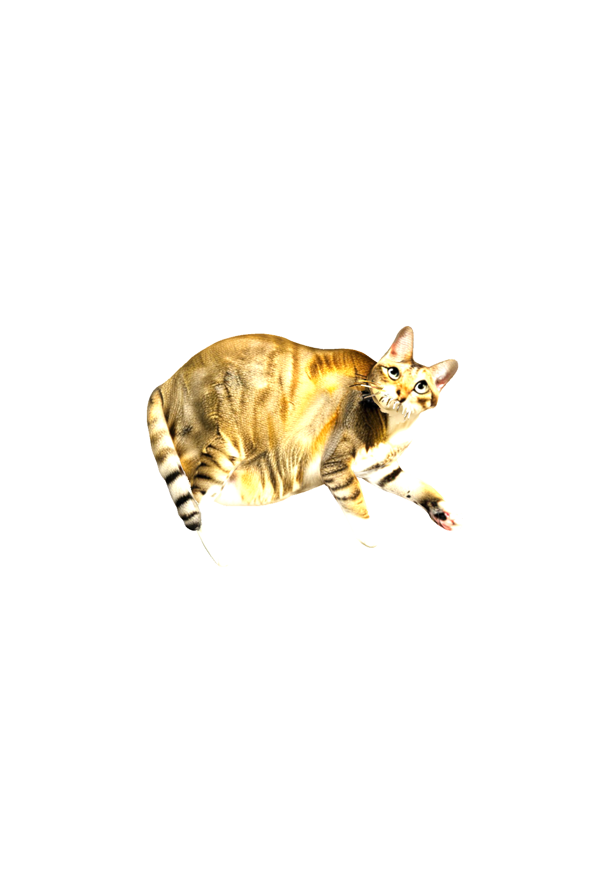 Tabby Cat Lying free 3D printable STL