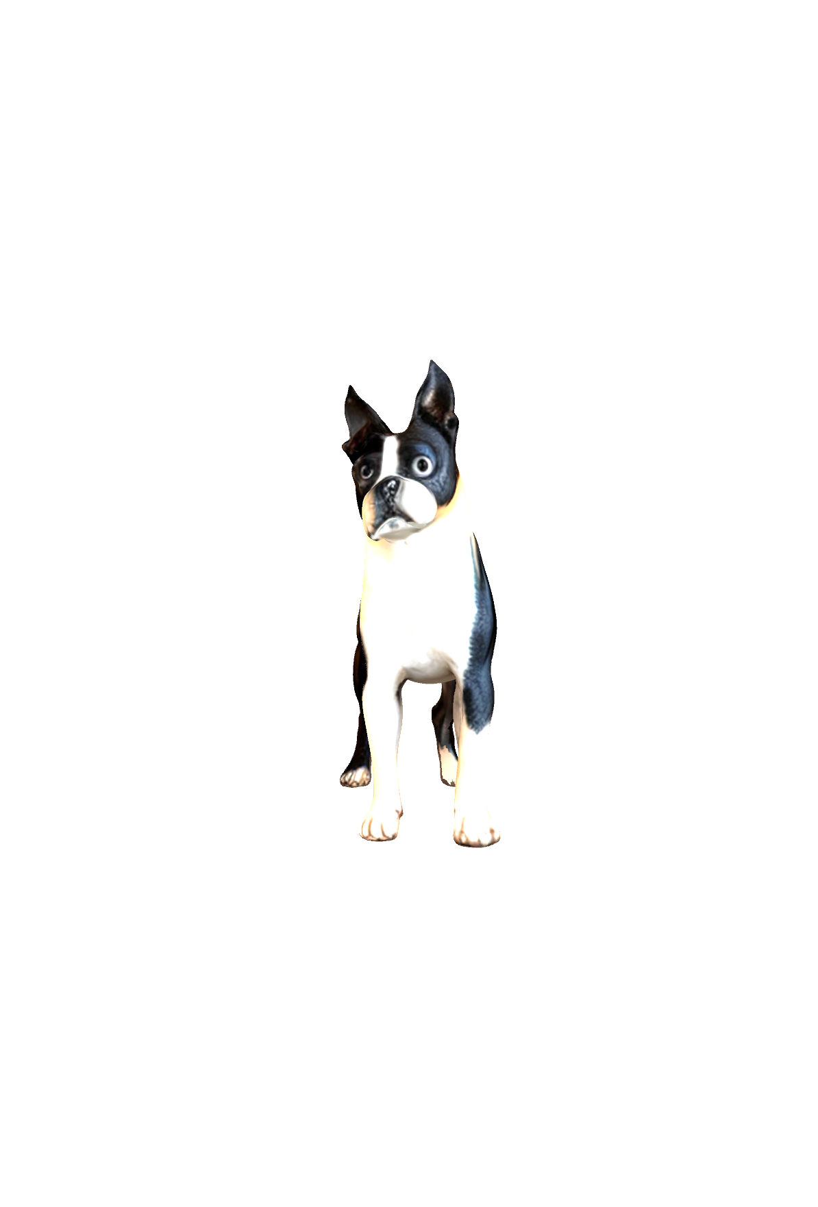 Boston Terrier Standing free 3D printable STL