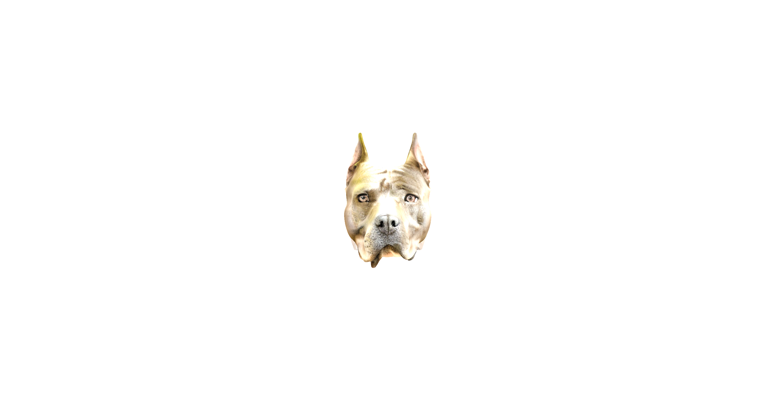 American Pit Bull Terrier Portrait free 3D printable STL