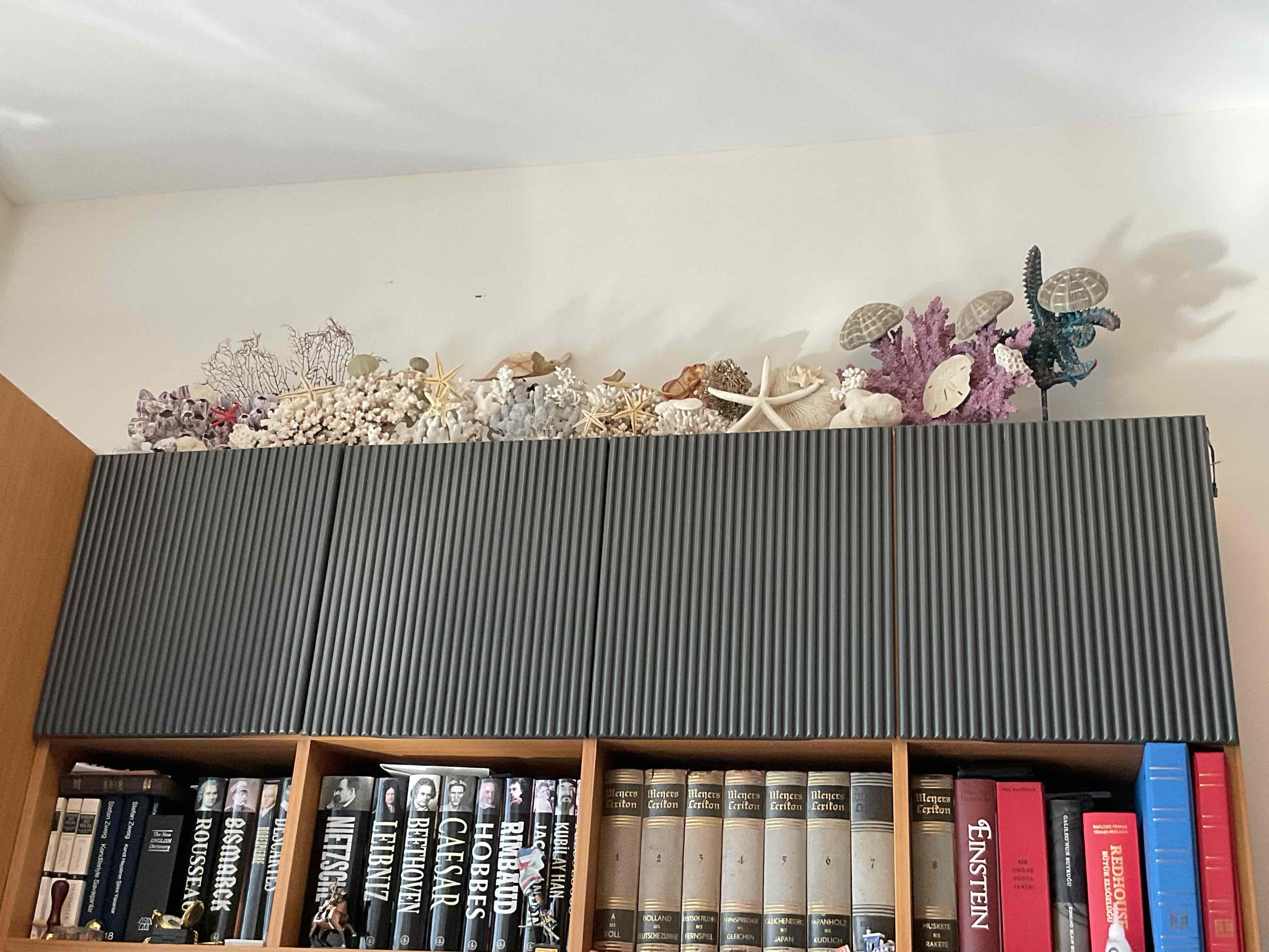 Decorative Coral Display free 3D printable STL