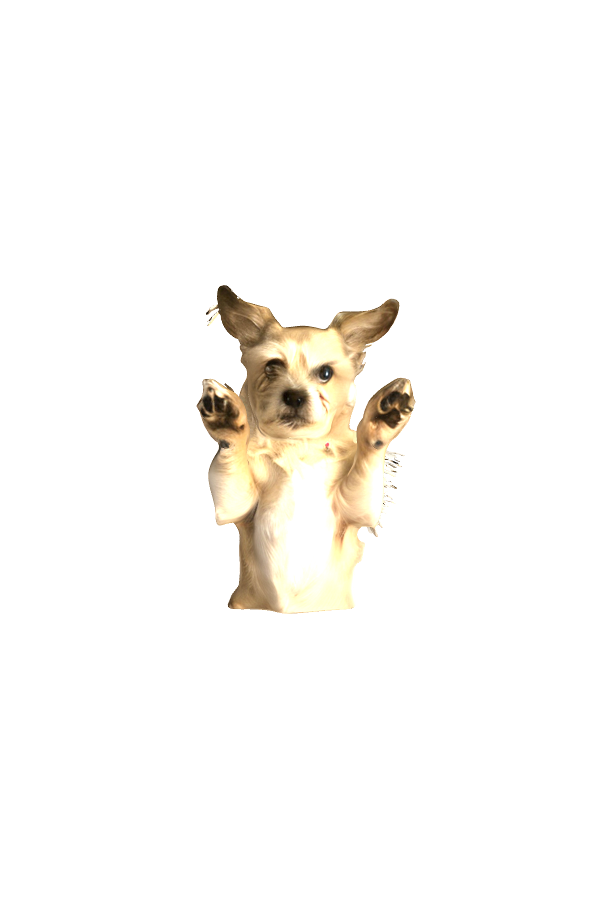Excited Terrier Dog free 3D printable STL