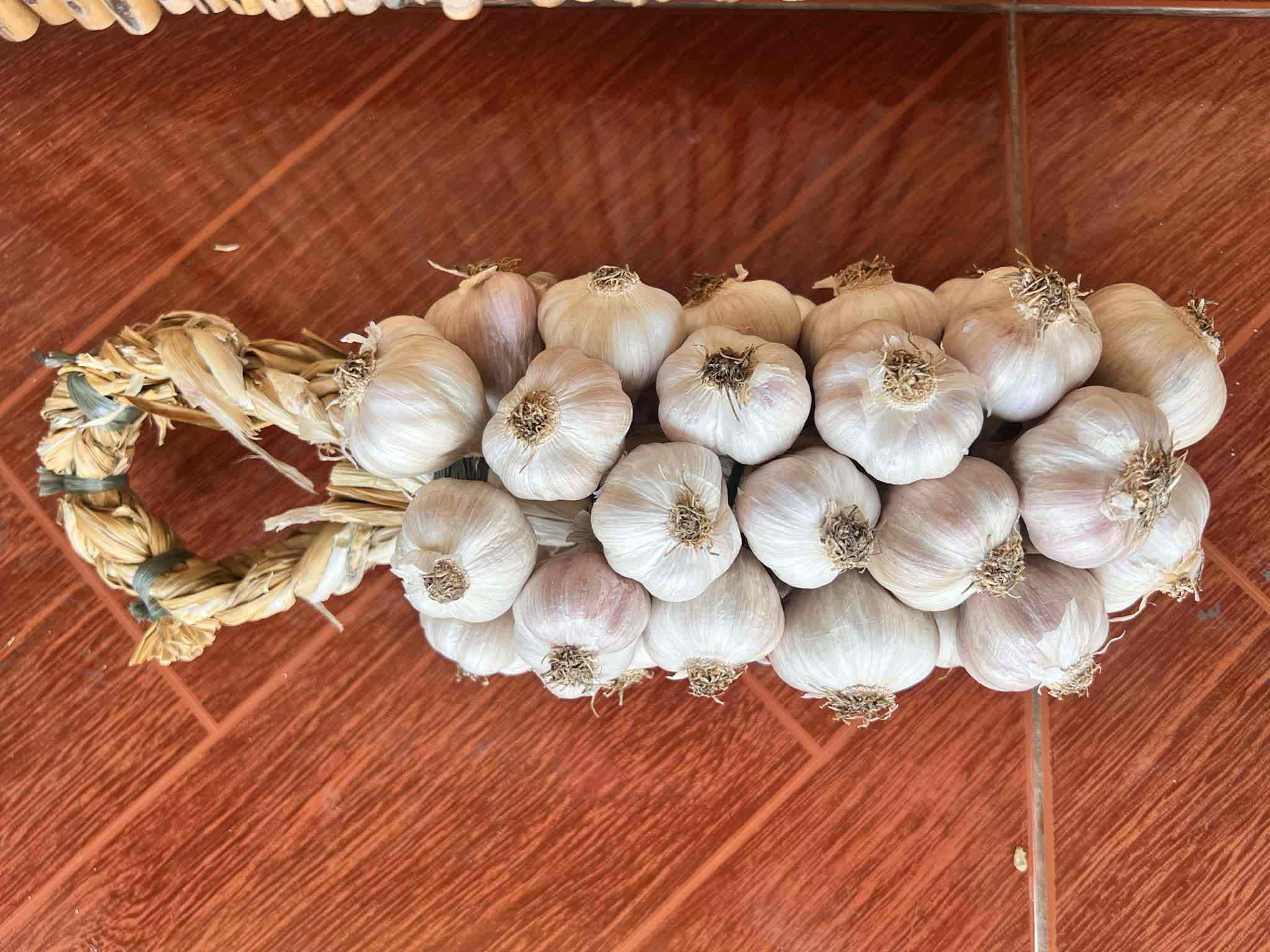 Garlic Braid Decoration free 3D printable STL