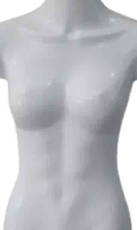 Female Torso Display Model free 3D printable STL