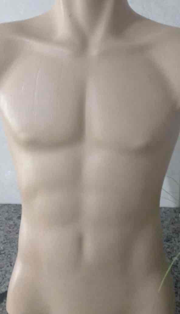 Male Torso Anatomy Model free 3D printable STL