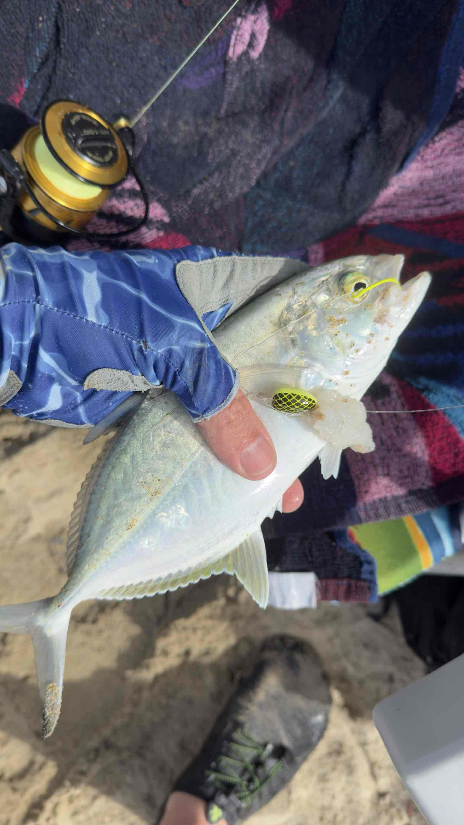 Caught Bluefish free 3D printable STL