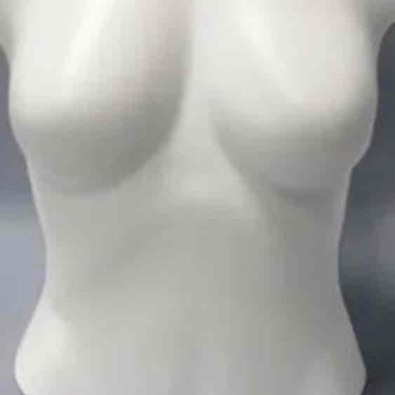 Female Torso Sculpture free 3D printable STL