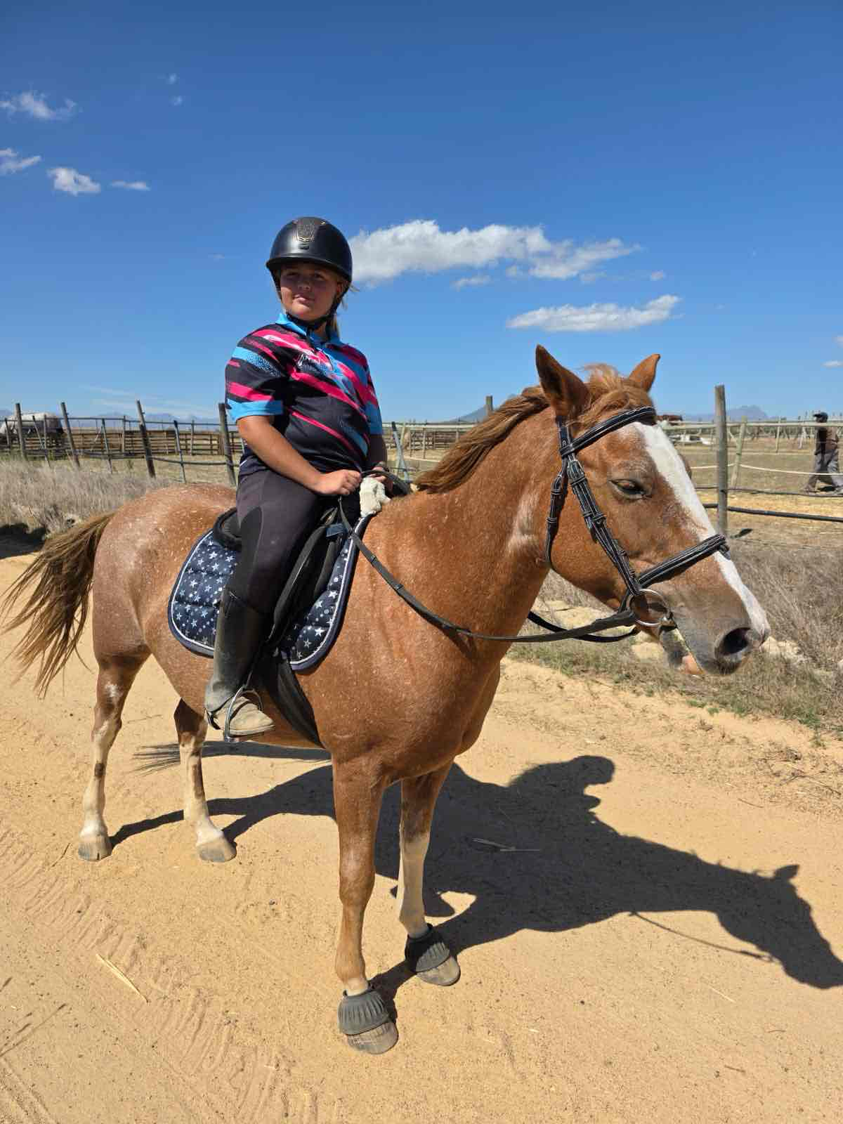 Horse Riding Girl free 3D printable STL
