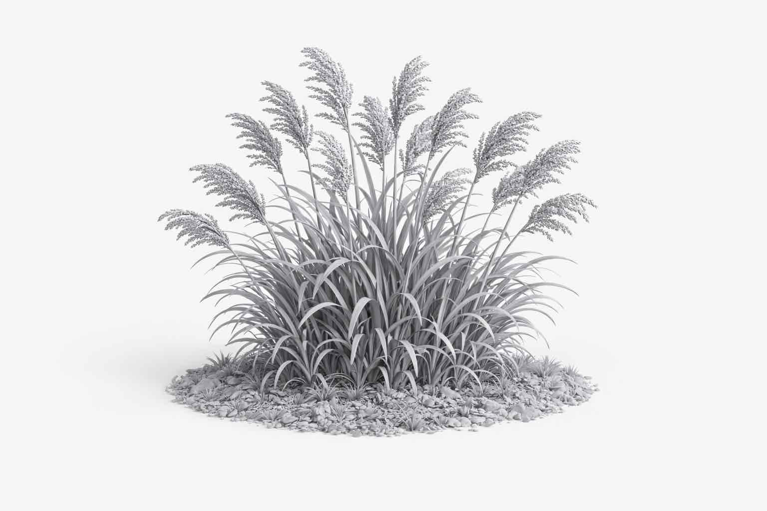 Tall Grass Bunch free 3D printable STL