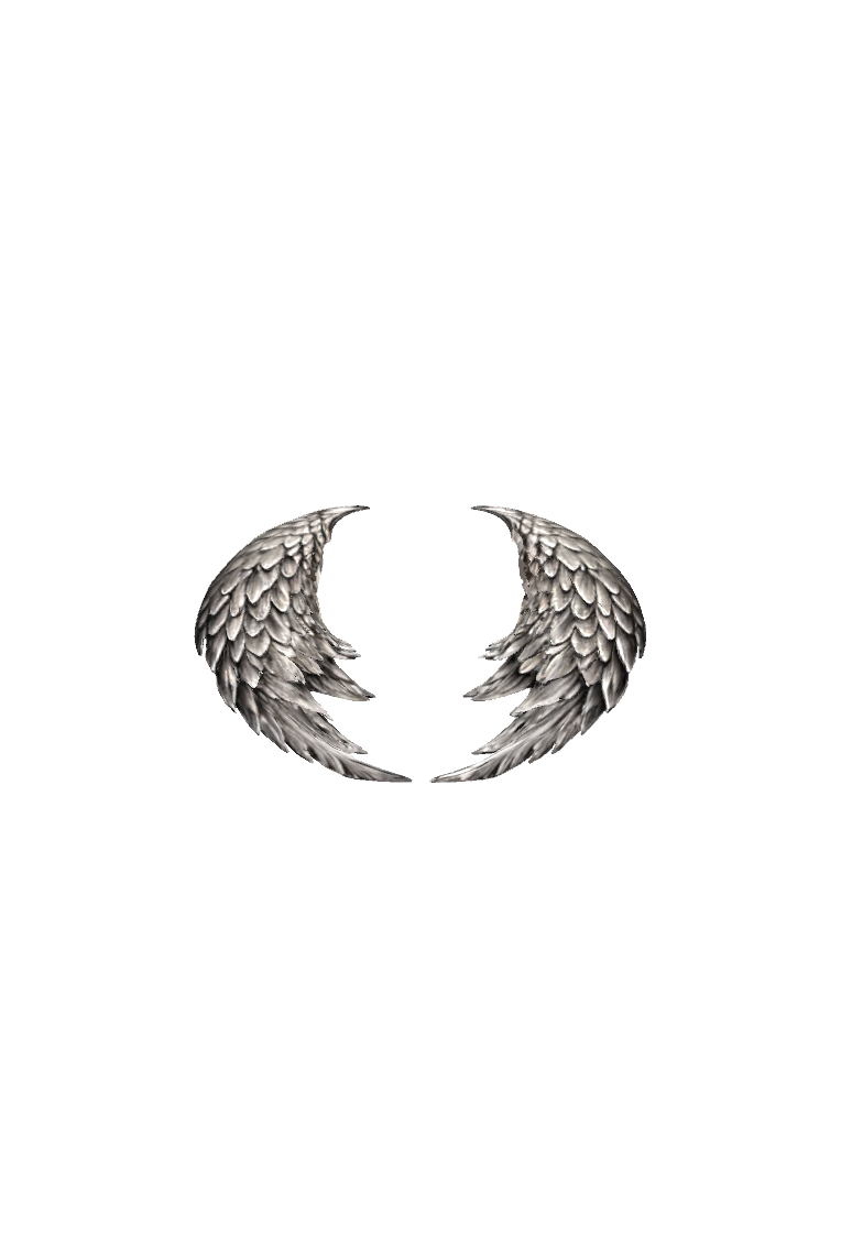 Feathered Angel Wings free 3D printable STL