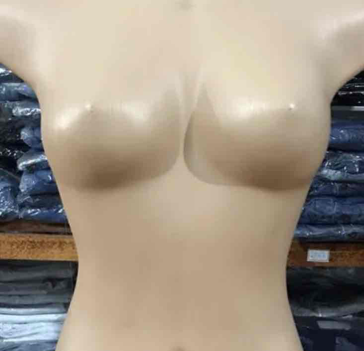 Female Mannequin Torso free 3D printable STL