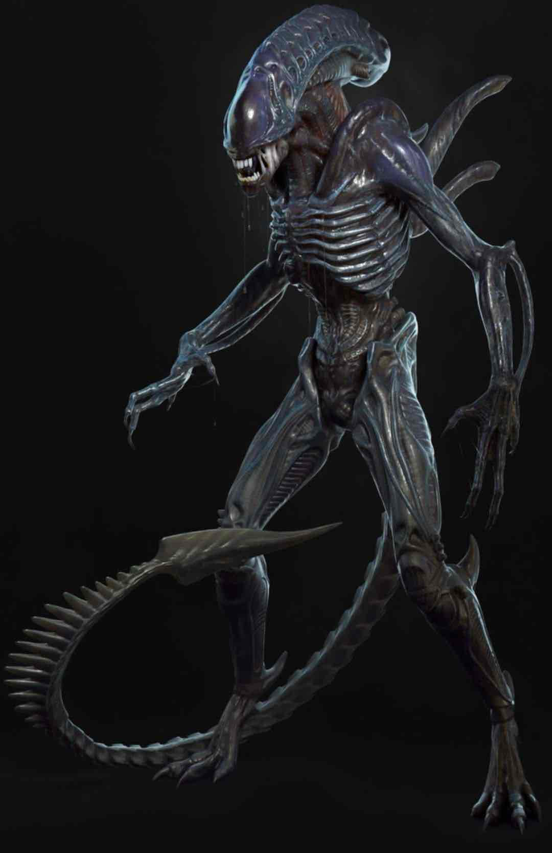 Xenomorph Alien Warrior free 3D printable STL