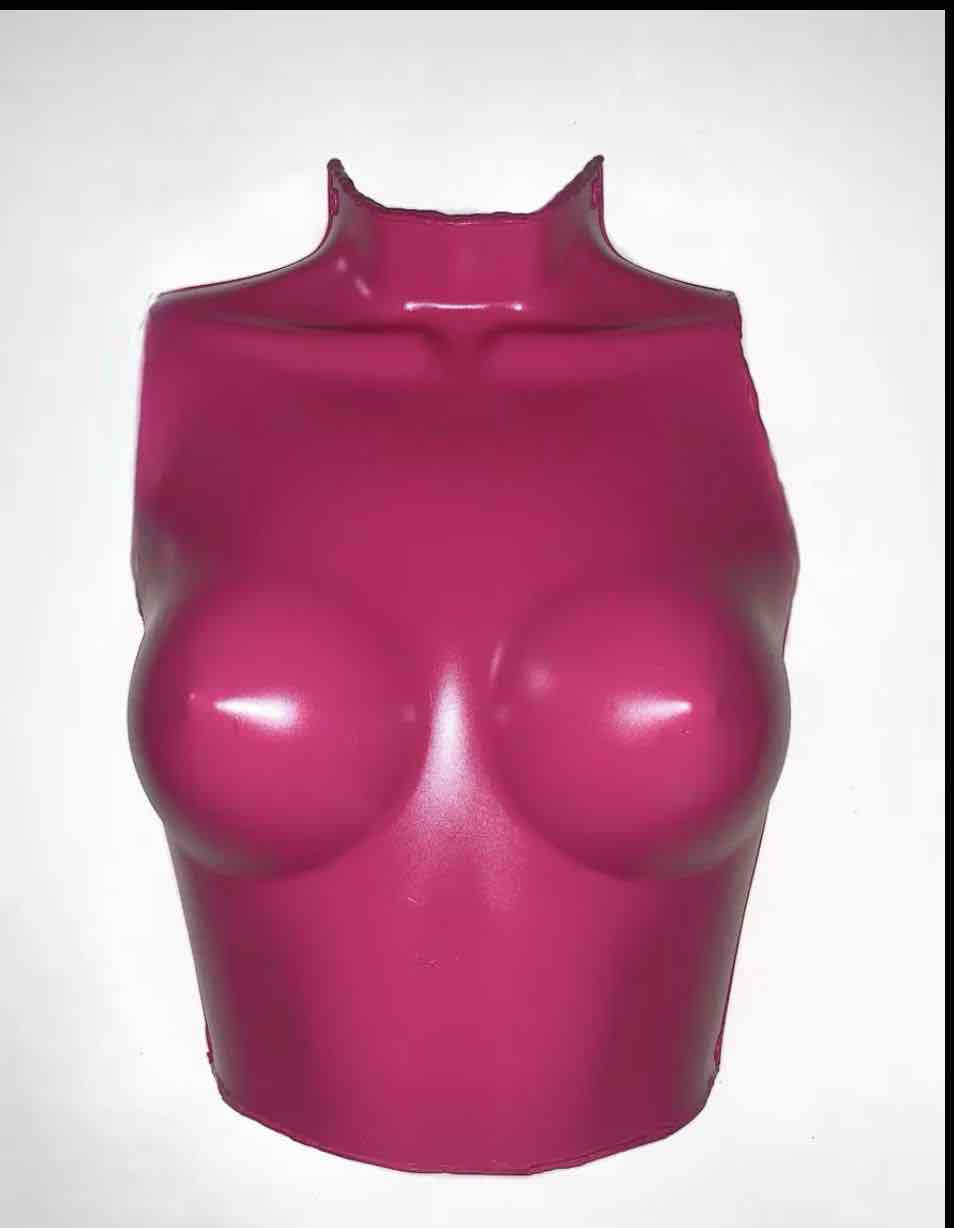 Female Torso Mannequin free 3D printable STL