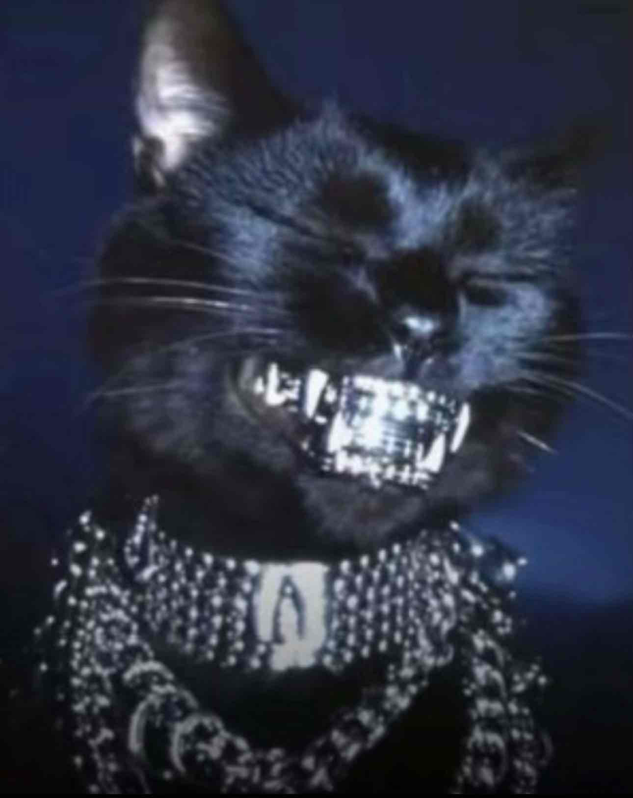Punk Black Cat free 3D printable STL