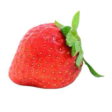 Fresh Strawberry free 3D printable STL